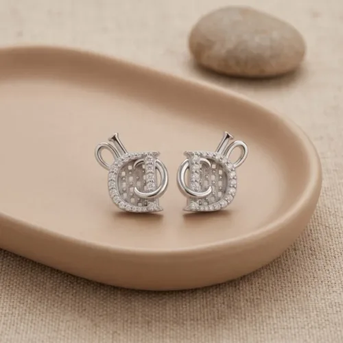 Premium woven mesh silver earrings beautifully styled on an earthy ceramic tray, highlighting the intricate center grid and polished metallic finish.
